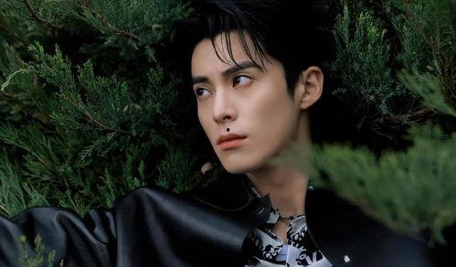 娱乐吃瓜爆料王鹤棣,娱乐圈新晋“吃瓜王”，揭秘明星幕后故事